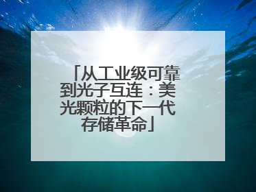 从工业级可靠到光子互连：美光颗粒的下一代存储革命