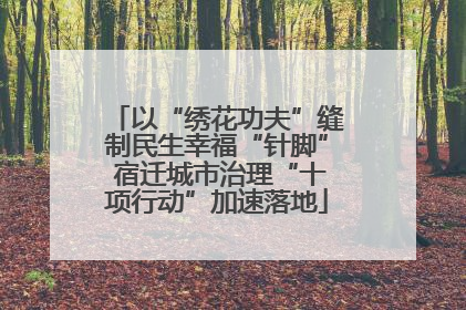 以“绣花功夫”缝制民生幸福“针脚” 宿迁城市治理“十项行动”加速落地