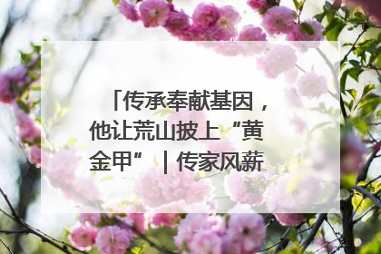传承奉献基因，他让荒山披上“黄金甲”｜传家风薪火 颂家国情深