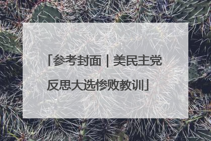 参考封面｜美民主党反思大选惨败教训