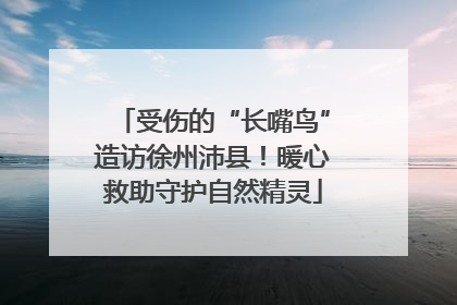 受伤的“长嘴鸟”造访徐州沛县！暖心救助守护自然精灵
