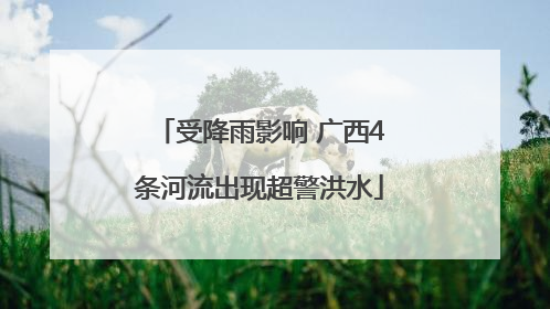 受降雨影响 广西4条河流出现超警洪水