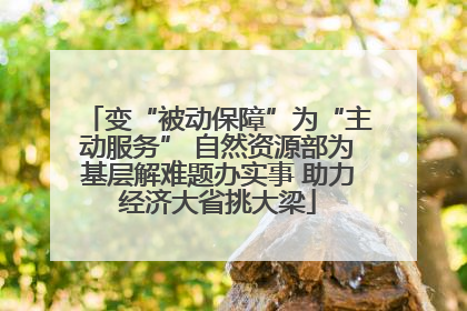 变“被动保障”为“主动服务” 自然资源部为基层解难题办实事 助力经济大省挑大梁