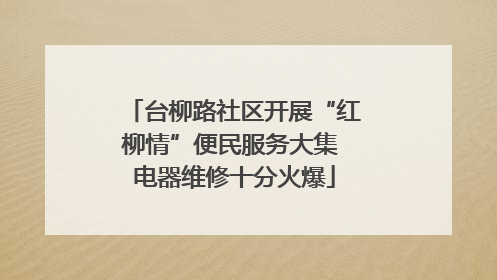 台柳路社区开展“红柳情”便民服务大集 电器维修十分火爆