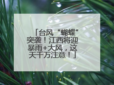台风“蝴蝶”突袭！江西将迎暴雨+大风，这天千万注意！