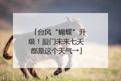 台风“蝴蝶”升级！厦门未来七天都是这个天气→