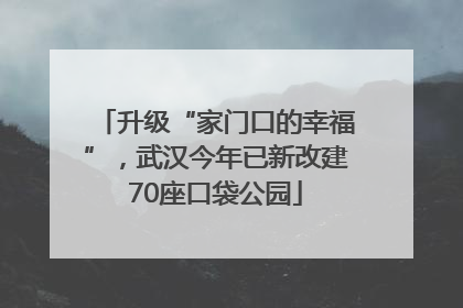 升级“家门口的幸福”，武汉今年已新改建70座口袋公园