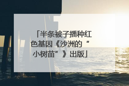 半条被子播种红色基因《沙洲的“小树苗”》出版