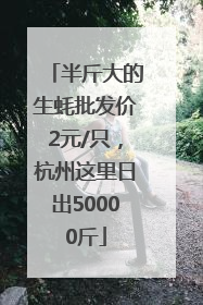 半斤大的生蚝批发价2元/只，杭州这里日出50000斤