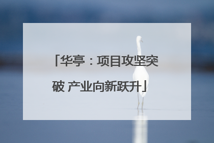 华亭：项目攻坚突破 产业向新跃升