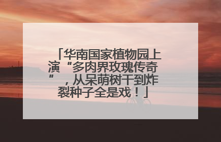 华南国家植物园上演“多肉界玫瑰传奇”，从呆萌树干到炸裂种子全是戏！