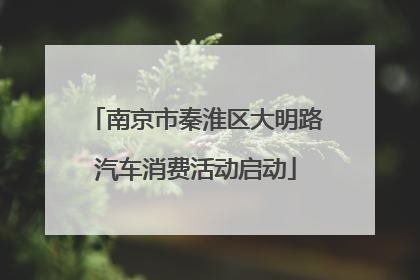 南京市秦淮区大明路汽车消费活动启动
