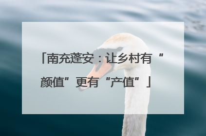 南充蓬安：让乡村有“颜值”更有“产值”