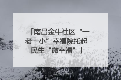 南昌金牛社区“一老一小”幸福院托起民生“微幸福”