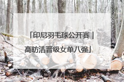 印尼羽毛球公开赛｜高昉洁晋级女单八强