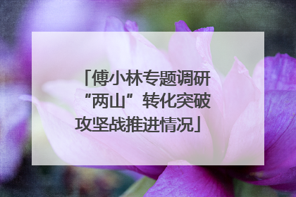 傅小林专题调研“两山”转化突破攻坚战推进情况