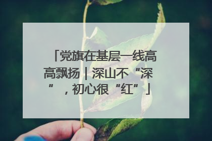 党旗在基层一线高高飘扬｜深山不“深”，初心很“红”