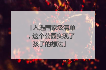 入选国家级清单，这个公园实现了孩子的想法