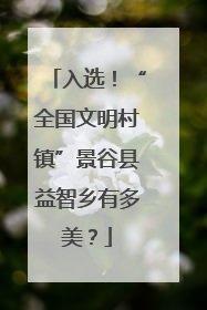 入选！“全国文明村镇”景谷县益智乡有多美？