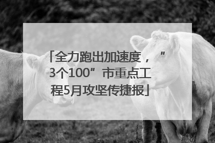 全力跑出加速度，“3个100”市重点工程5月攻坚传捷报