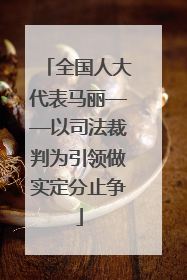 全国人大代表马丽——以司法裁判为引领做实定分止争