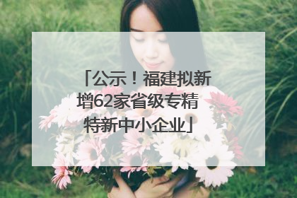 公示！福建拟新增62家省级专精特新中小企业