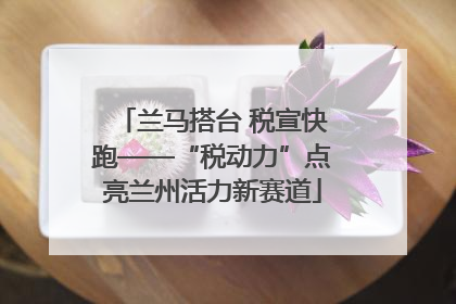 兰马搭台 税宣快跑——“税动力”点亮兰州活力新赛道