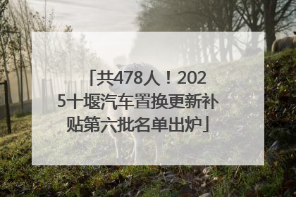 共478人！2025十堰汽车置换更新补贴第六批名单出炉
