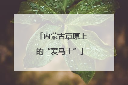 内蒙古草原上的“爱马士”