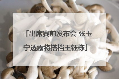 出席赛前发布会 张玉宁透露将搭档王钰栋