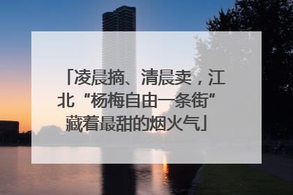 凌晨摘、清晨卖，江北“杨梅自由一条街”藏着最甜的烟火气