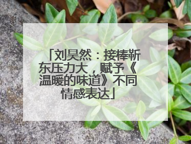 刘昊然：接棒靳东压力大，赋予《温暖的味道》不同情感表达