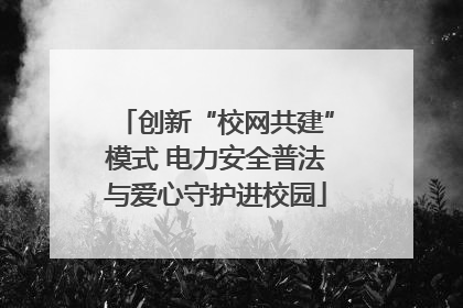 创新“校网共建”模式 电力安全普法与爱心守护进校园