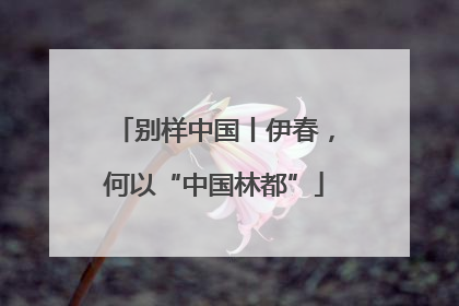 别样中国丨伊春，何以“中国林都”