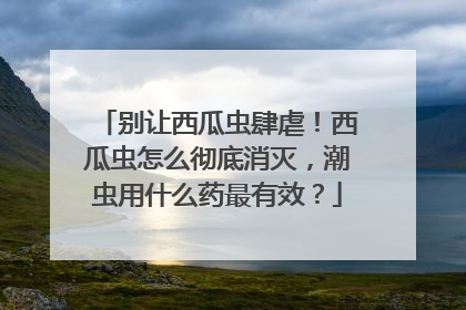 别让西瓜虫肆虐！西瓜虫怎么彻底消灭，潮虫用什么药最有效？