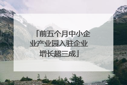 前五个月中小企业产业园入驻企业增长超三成
