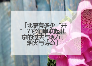 北京有多少“井”？它们串联起北京的过去与现在、烟火与诗意