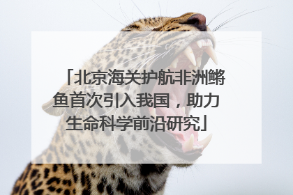 北京海关护航非洲鳉鱼首次引入我国，助力生命科学前沿研究