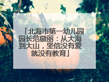 北海市第一幼儿园园长范徽丽：从大海到大山，坚信没有爱就没有教育