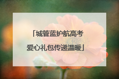 城管蓝护航高考 爱心礼包传递温暖