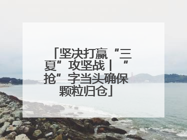 坚决打赢“三夏”攻坚战丨“抢”字当头确保颗粒归仓