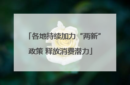 各地持续加力“两新”政策 释放消费潜力