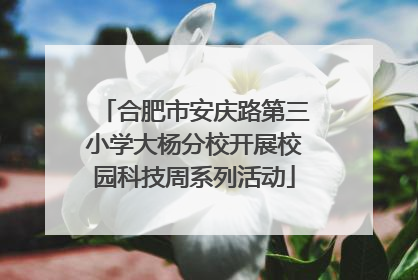 合肥市安庆路第三小学大杨分校开展校园科技周系列活动