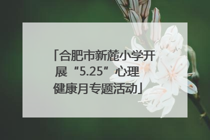 合肥市新麓小学开展“5.25”心理健康月专题活动