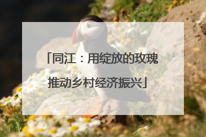 同江：用绽放的玫瑰 推动乡村经济振兴