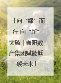 向“绿”而行 向“新”突破｜襄阳数产集团赋能低碳未来