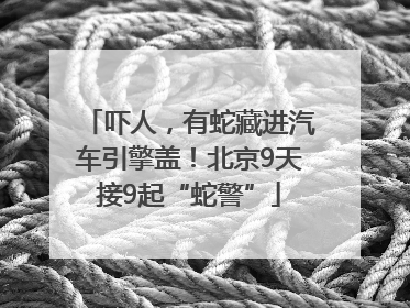 吓人，有蛇藏进汽车引擎盖！北京9天接9起“蛇警”