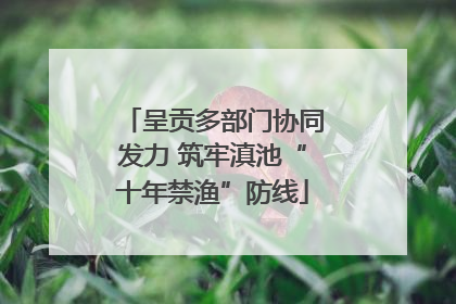 呈贡多部门协同发力 筑牢滇池“十年禁渔”防线