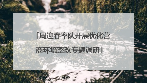 周迎春率队开展优化营商环境整改专题调研