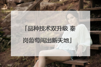 品种技术双升级 秦岗葡萄闯出新天地